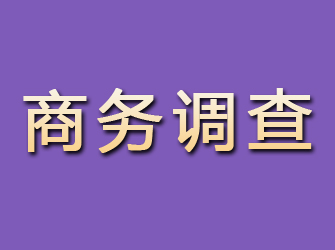 廛河商务调查